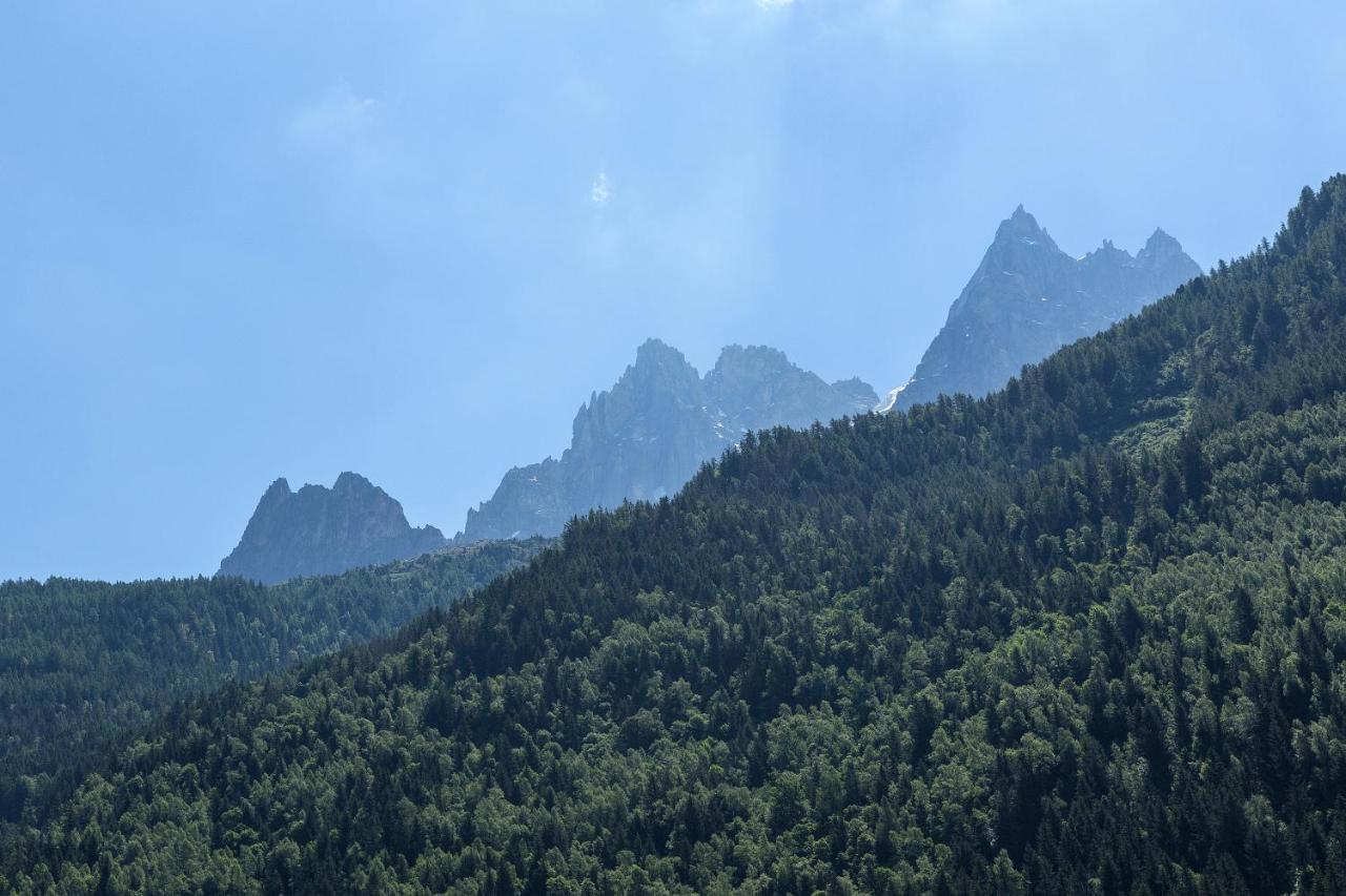 Apartment Iris 4 - Central Chamonix Haven Mont Blanc Exterior foto